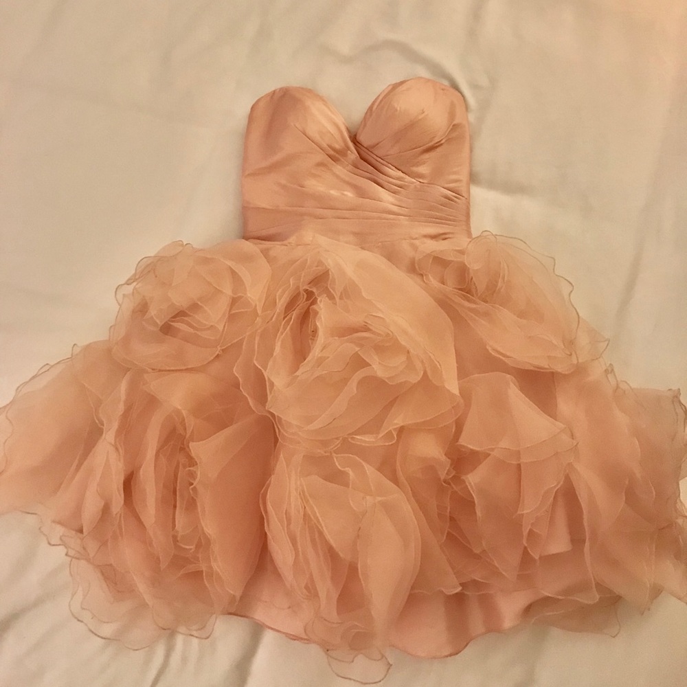Blush Sean X Press Dress